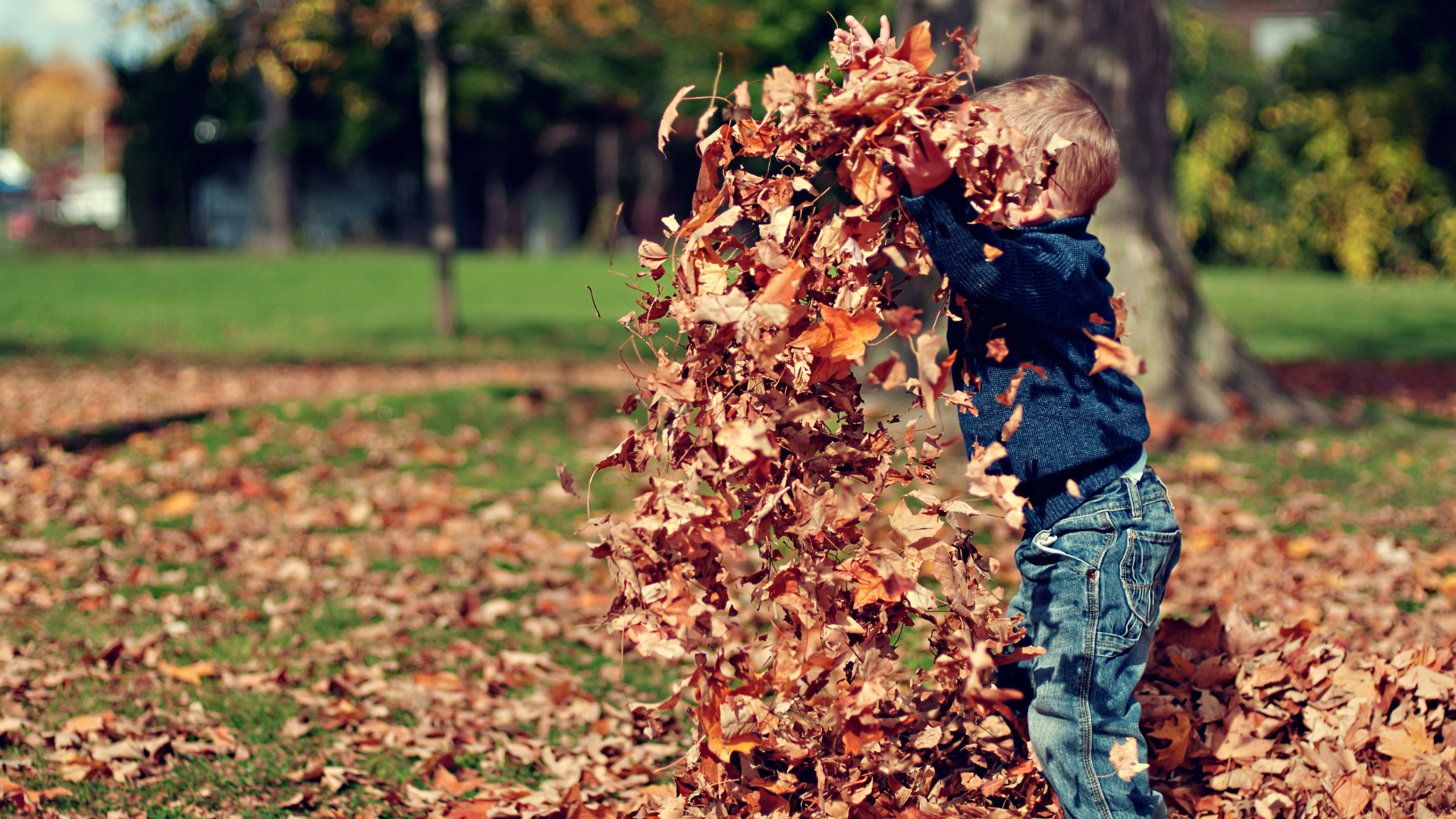 Have you planned your Halloween half-term childcare?